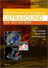 Obstetric and Gynecological Ultrasound: How Why and When  4/e