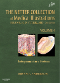 The Netter Collection of Medical Illustrations - Integumentary System: Volume 4