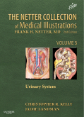 The Netter Collection of Medical Illustrations - Urinary System: Volume 5