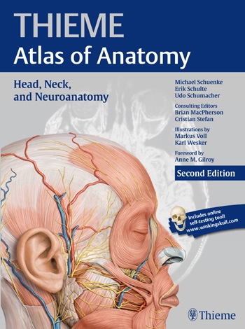 THIEME Atlas of Anatomy : Head Neck and Neuroanatomy-2판