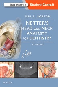 Netter's Head and Neck Anatomy for Dentistry-3판