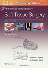 Master Techniques in Orthopaedic Surgery: Soft Tissue Surgery 2/e