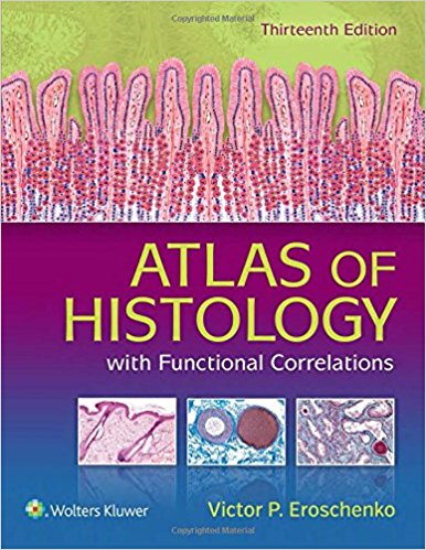 diFiore`s Atlas of Histology with Functional Correlations-13판