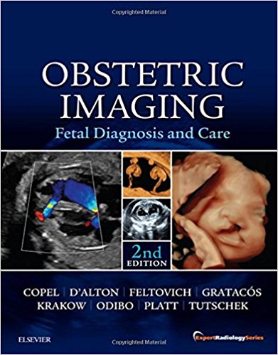 Obstetric Imaging-2판