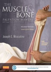 The Muscle and Bone Palpation Manual with Trigger Points Referral Patterns and Stretching-2판