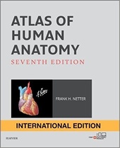 Atlas of Human Anatomy-7판(IE)
