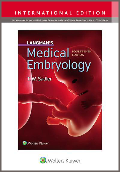 Langman`s Medical Embryology-14판