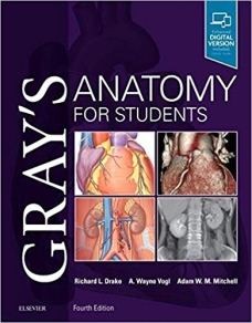 Gray's Anatomy for Students-4판