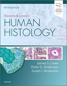 Stevens and Lowe's Human Histology-5판