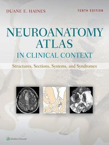 Neuroanatomy Atlas in Clinical Context-10판