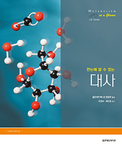 한눈에알수있는대사-4판