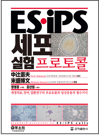 ES·iPS 세포실험 프로토콜