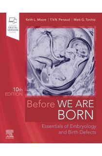 Before We Are Born-10판