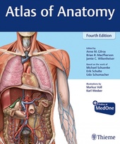 Atlas of Anatomy-4판