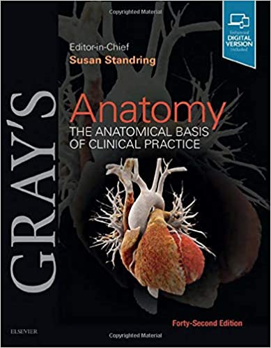 Gray's Anatomy-42판