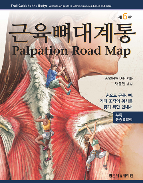 근육뼈대계통 Palpation Road map-6판