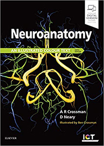 Neuroanatomy-6판