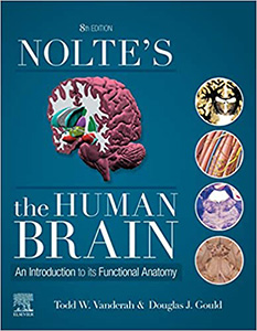 Nolte's The Human Brain-8판