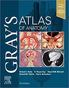Gray's Atlas of Anatomy-3판