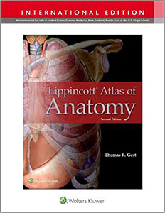 Lippincott Atlas of Anatomy-2판(IE Paperback)
