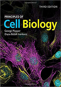 Principles of Cell Biology-3판