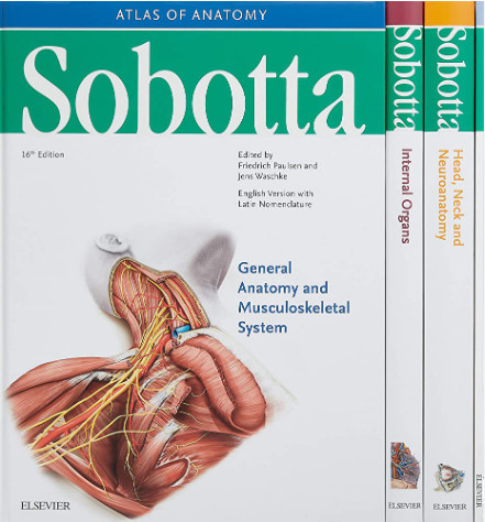 Sobotta Atlas of Anatomy-16판