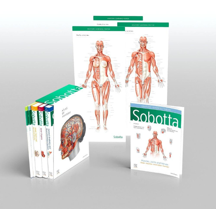 Sobotta Atlas of Anatomy-17판