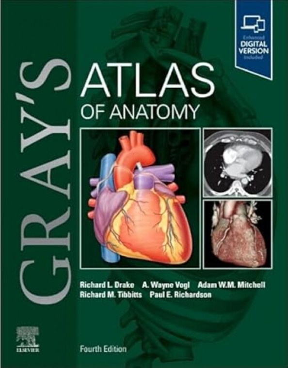 Gray`s Atlas of Anatomy-4판