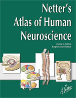Netter’s Atlas of Human Neuroscience